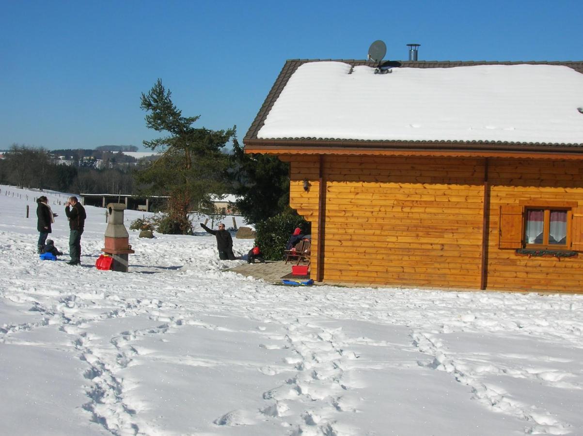 Chalet Les Ecureuils Saint-Nabord Exteriér fotografie